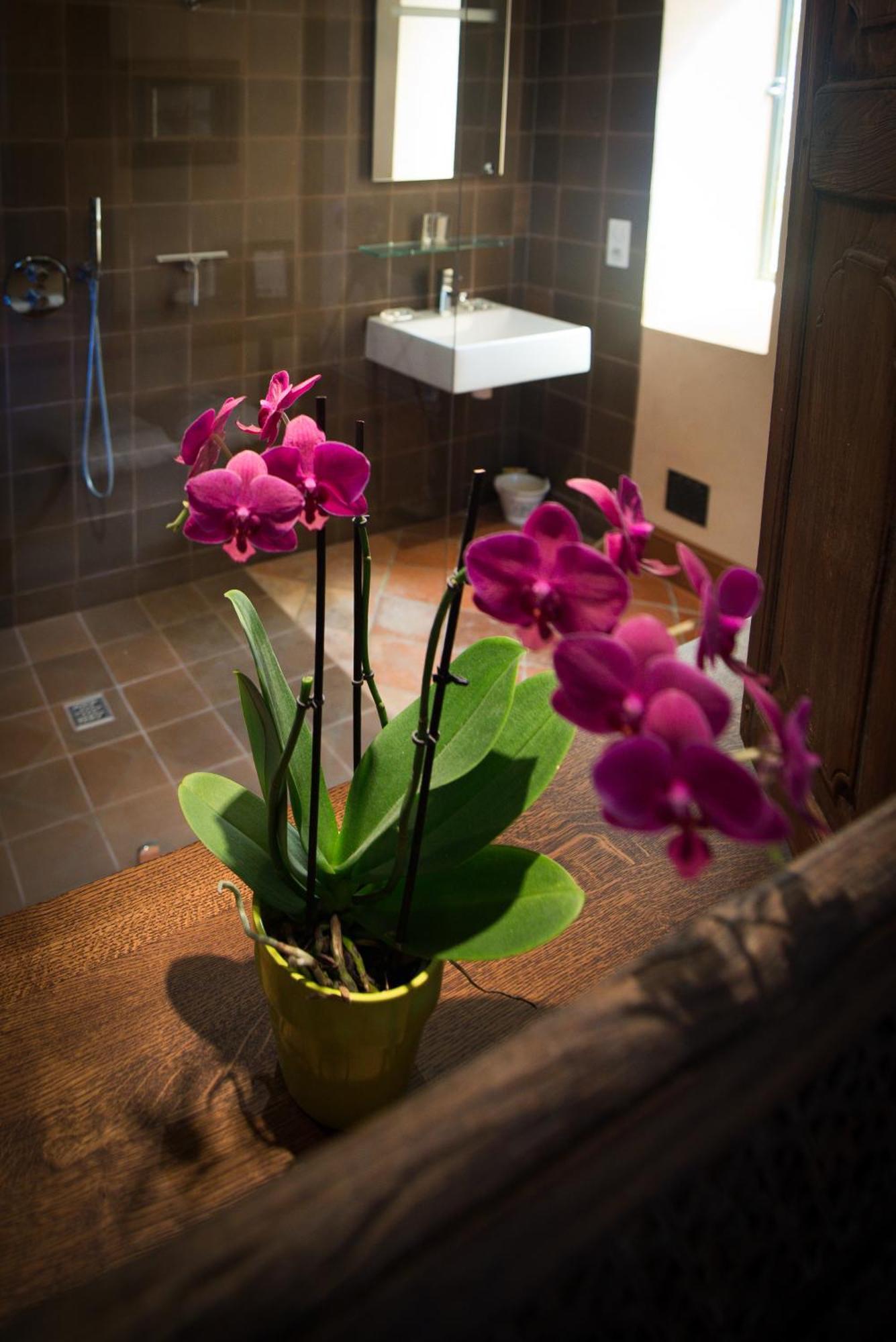 Chambres D'Hotes Domaine De Nazere Avezan Rum bild